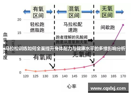 马拉松训练如何全面提升身体耐力与健康水平的多维影响分析