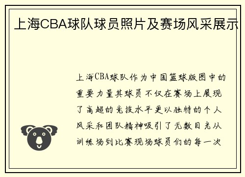 上海CBA球队球员照片及赛场风采展示